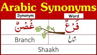 25 Synonyms in Arabic English and Urdu | Arabic Synonyms | Synonyms in Arabic