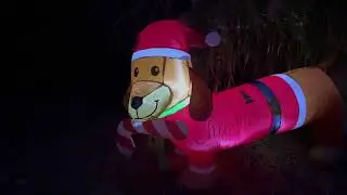 Review of ASTEROUTDOOR 5FT Christmas Inflatable Decorations Dachshund Dog, LED Lights