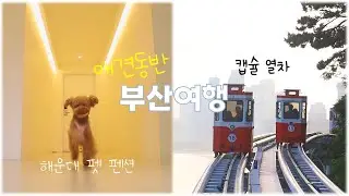 [EP1] 강아지와 함께 1박2일 부산여행 | 해운대펫펜션 | 캡슐열차 | 애견동반식당