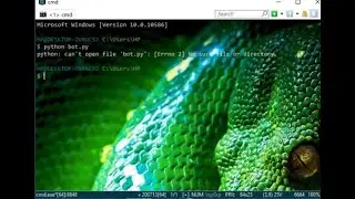 python + cmd как? 