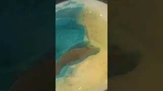 EXOTIC  SEA SALT ICE-CREAM  /SHORTS #youtube