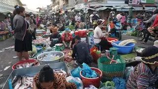 Early Morning Chhbar Ampov Street Vegetable Market - Walk Around Street Market in Morning Town