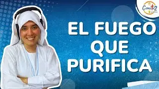 Conectados en Familia: 