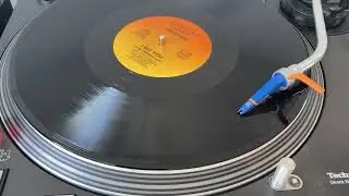 SHAKEENA - I BET YOU (DUB VERSION) LOVERS ROCK