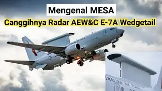Mengenal MESA - Radar Kendali dan Peringatan Dini (AEW&C) E-7A Wedgetail