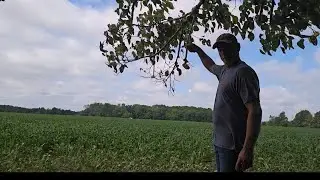 Scouting , hanging a rope under my stand and a camera..! 