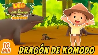 Drag&oacute;n de Komodo | Beb&eacute; Drag&oacute;n! | Episodio Completo | Leo El Explorador