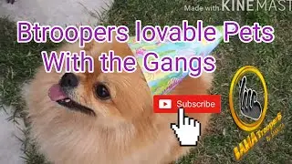 Btroopers lovable pets with the gangs