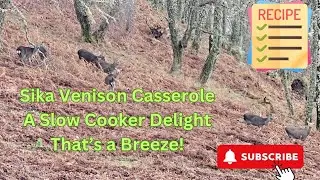 Sika Venison Stew Easy Recipe Slow Cooker
