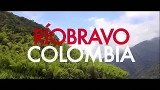 Reserva Forestal de Ríobravo, Valle del Cauca. Colombia