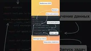Подключение через WebSockets CCXT
