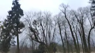 Test dronu REDPAWZ R020 nehoda_2