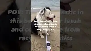 From plastic to dog leash ♻️ #dogessentials #dogmom #dogdad #ecofriendly #madefromplasticbottles