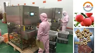 Automatic apple peeling coring and cutting machine industrial apples peeler corer cutter equipment
