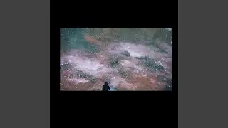 Your Choice