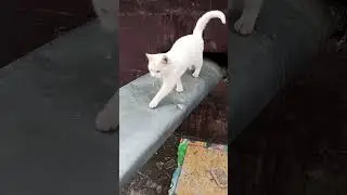 Малыш Первый Раз Видит Гололёд / Baby Sees Ice for the First Time 🔥