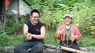 苧麻的種植