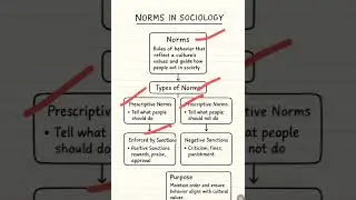 Norms in Sociology Explained Simply | Types, Sanctions & Examples