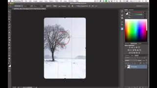 Cropping: Rule of Thirds