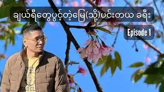 ချယ်ရီတွေပွင့်တဲ့မြေ(သို့)ပင်းတယ ခရီး(The Land of Blooming Cherries :My Pindaya Journey Diary)