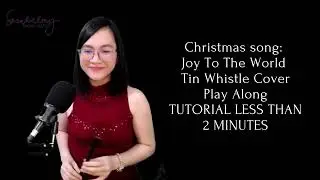 Tin Whistle Lesson: Joy To The World | Tin Whistle Cover | Play Along | TUTORIAL LESS 2 MINUTES