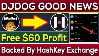 DejenDog Mining $60 Profit | DejenDog Backed By HashKey Exchange | Rizwan Blouch