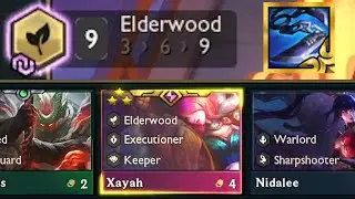 9 ELDERWOOD + 3 STAR RADIANT XAYAH ⭐⭐⭐ | Set 4.5 Revival