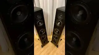 Sonus faber Grand Piano Domus #sonusfaber #hifi #hiend #audiophile #speaker #stereo #audio #music