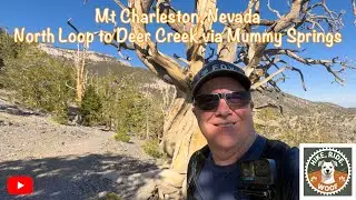 North Loop to Mummy Springs and Deer Creek. Mt Charleston, NV