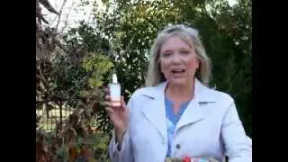 Plant witch hazel in your yard