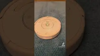 my roomba collection 7 roombas 1 mop