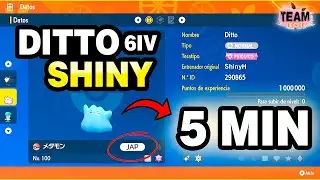 ✨ &iexcl;&iexcl;C&Oacute;MO CONSEGUIR UN DITTO 6IV SHINY JAPON&Eacute;S EN 5 MINUTOS!! (Hoy Disponible Para Miembros!)
