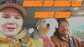 Going birdwatching and eating gas station Indian food in Montana