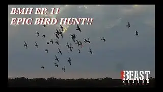 Beast Master Hunting Ep. 11- Dove Hunt!