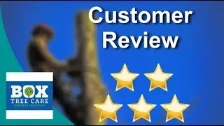 Box Tree Care Reviews - 5 Stars for Tree Maintenance in Leander, Texas