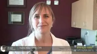 Stem Cell Therapy for Dogs and Cats | Morrisville NC