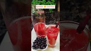 Falsa(Sherbet Berry) Sharbat ❤️🍹|S3 Drink 😉 ( Sweet Sour Summer Drink)😋 #yt #ytshorts #summerdrink