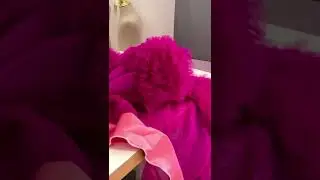 Sewing s hot pink wedding dress 🤩!#shorts #wedding #couturedress #bride #bridetobe #bridaldress
