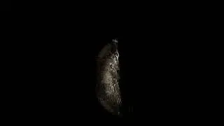 slenderguy - playreview [HALLOWEEN SPECIAL]