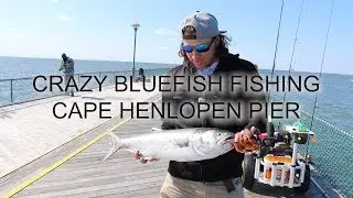 CRAZY BLUEFISH Fishing Cape Henlopen Pier