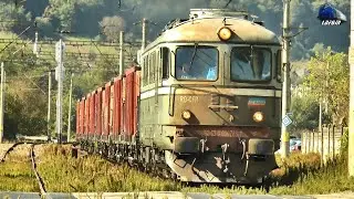 Trenuri în Gara Năsăud & Rebrișoara 🚂🚊🚂 Trains in Năsăud & Rebrișoara Station - 24 September 2024