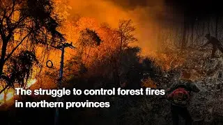 The struggle to control forest fires in northern provinces