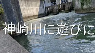神崎川に…シーバスやりに来ましたが…