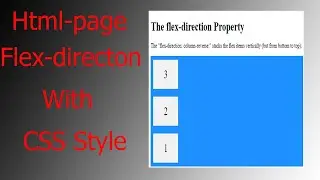 How to Create a Flex direction Property With  column-reverse Using Html and CSS (2021)