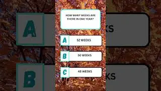 How many weeks are there in one year #education #quiz #quizzing #itsquiztime #quizness #quizzical