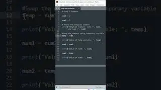 Python Number Swapping Program |  