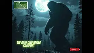 Creepy Bigfoot Stories That Will Shock You!