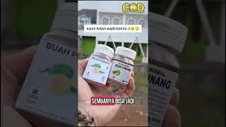 kapsul buah pinang gg 1