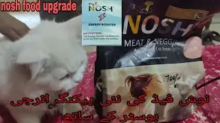 NEW PAKISTAI CAT FOOD WITH ENERGY BOOSTER #hen #farming #cats #chicken #animals #pets #cute #kitten