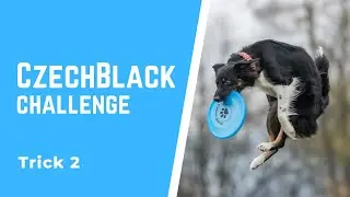 CzechBlack challenge // trick 2